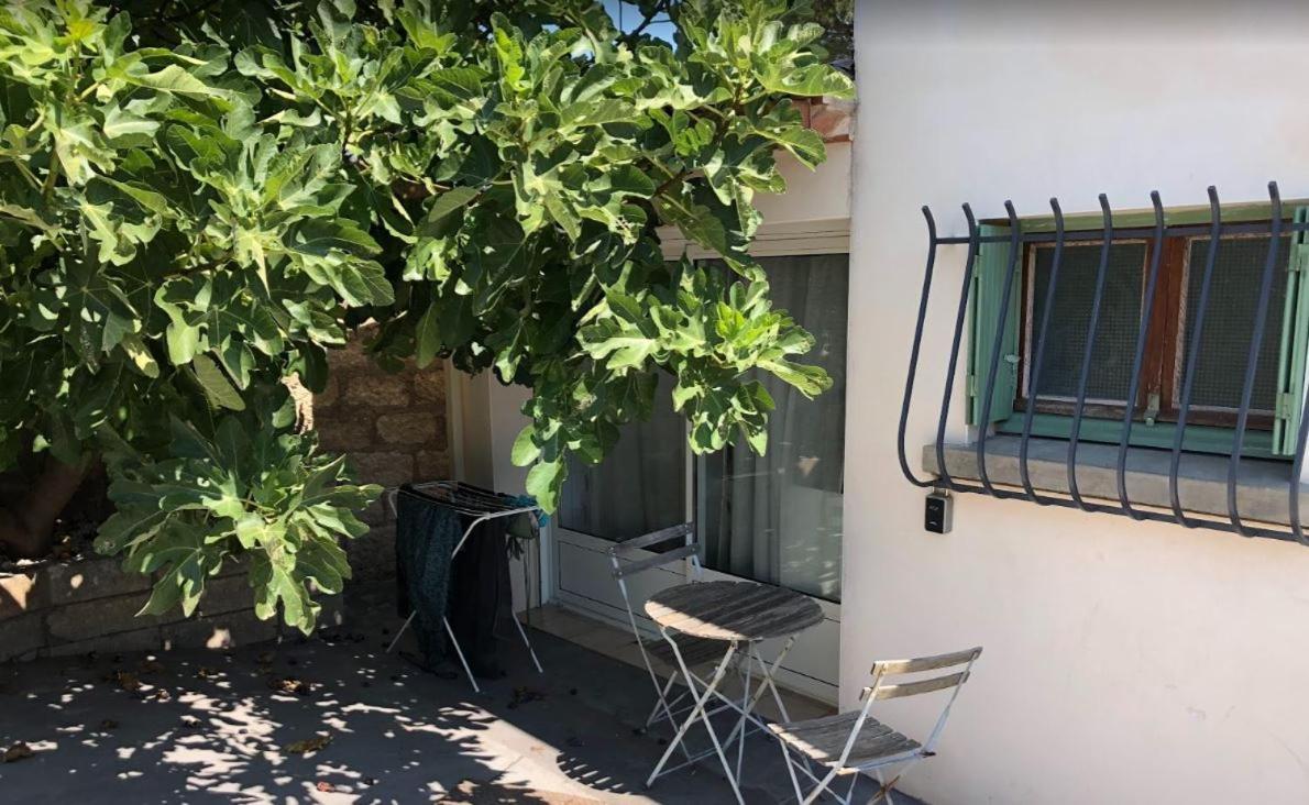 Le Nid Castries - Charmant Logement Complet Et Equipe Centre Castries Proche Montpellier エクステリア 写真